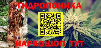 стафф Берёзовский