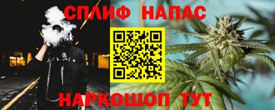 стаф Бийск