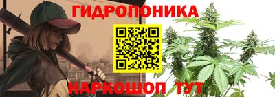 стафф Берёзовский