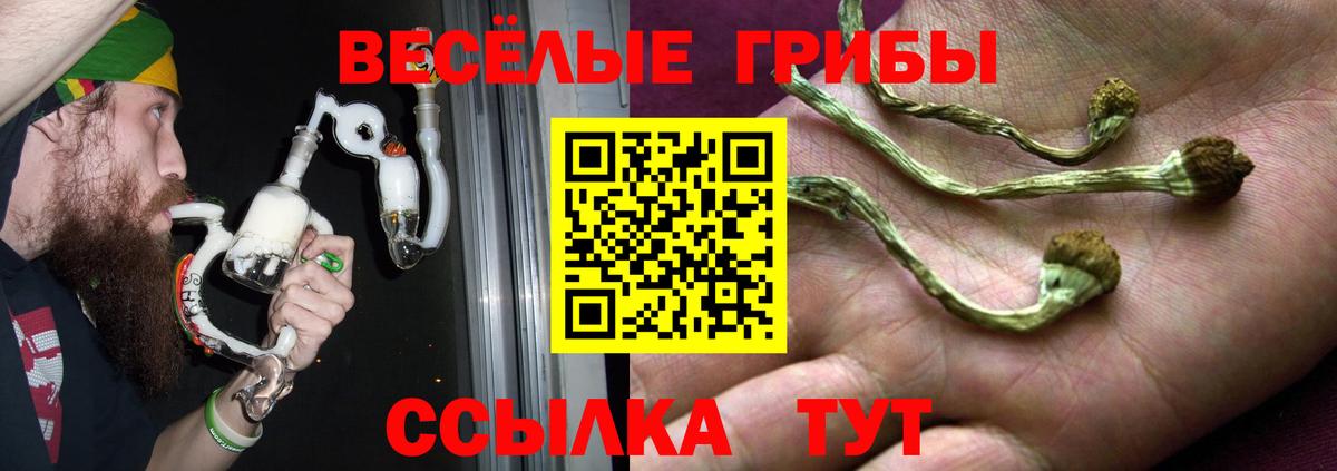 Псилоцибиновые грибы Psilocybine cubensis  Вход с VPN  Галлюциногенные грибы Psilocybine cubensis  Губкинский 